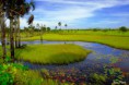 /album/galeria-de-imagens/a03-campos-naturais-bonfim-rr-jpg/